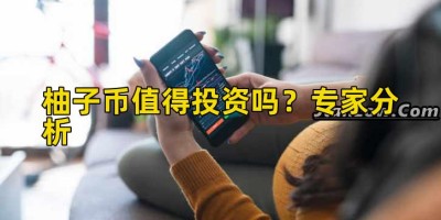 柚子币值得投资吗？专家分析