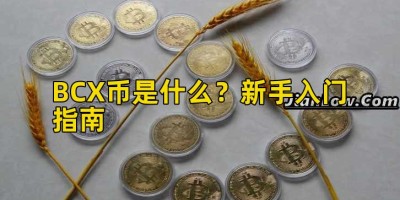 BCX币是什么？新手入门指南