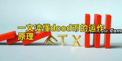 一文读懂dood币的运作原理