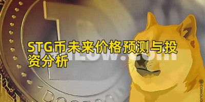 STG币未来价格预测与投资分析