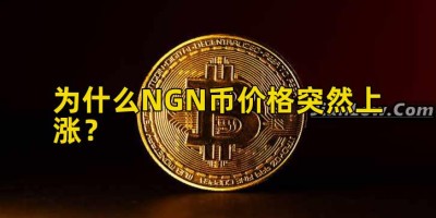 为什么NGN币价格突然上涨？