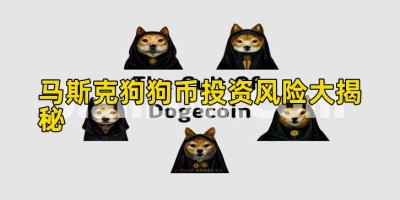 马斯克狗狗币投资风险大揭秘