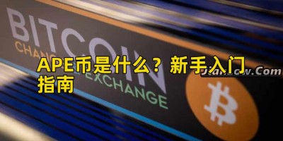 APE币是什么？新手入门指南