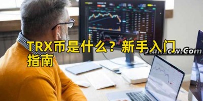 TRX币是什么？新手入门指南