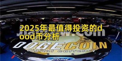 2025年最值得投资的dood币分析