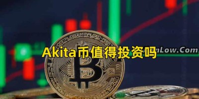 Akita币值得投资吗