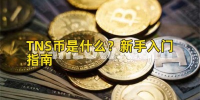 TNS币是什么？新手入门指南