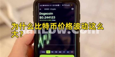 为什么比特币价格波动这么大？