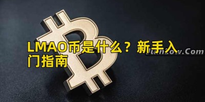 LMAO币是什么？新手入门指南