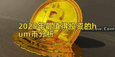 2025年最值得投资的hum币分析