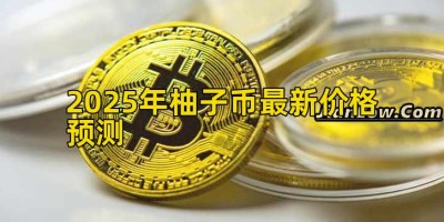 2025年柚子币最新价格预测
