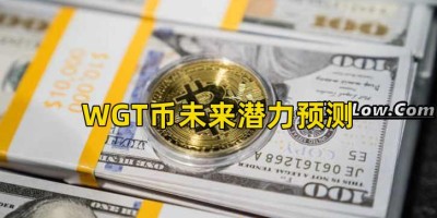 WGT币未来潜力预测