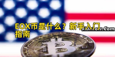 EOX币是什么？新手入门指南