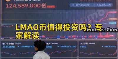 LMAO币值得投资吗？专家解读