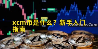 xcm币是什么？新手入门指南
