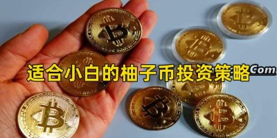 适合小白的柚子币投资策略