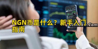 NGN币是什么？新手入门指南