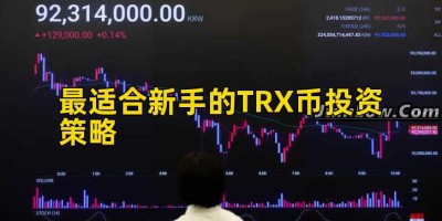 最适合新手的TRX币投资策略