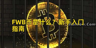 FWB币是什么？新手入门指南