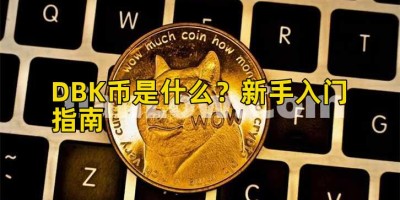 DBK币是什么？新手入门指南