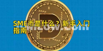 SME币是什么？新手入门指南