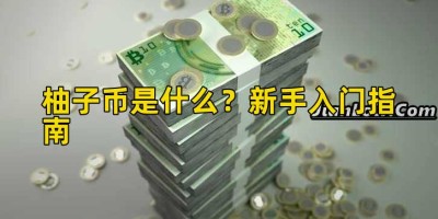 柚子币是什么？新手入门指南