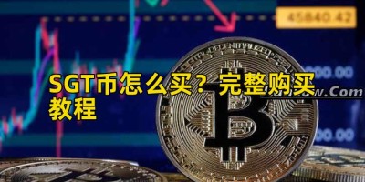 SGT币怎么买？完整购买教程