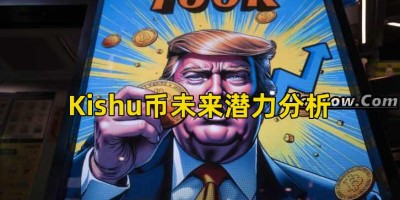 Kishu币未来潜力分析