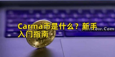 Carma币是什么？新手入门指南