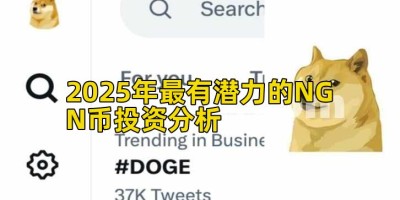2025年最有潜力的NGN币投资分析