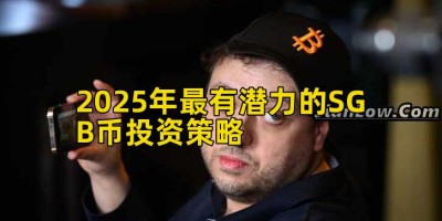 2025年最有潜力的SGB币投资策略