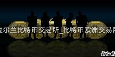 爱尔兰比特币交易所_比特币欧洲交易所