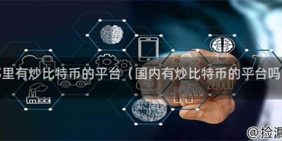 那里有炒比特币的平台（国内有炒比特币的平台吗）