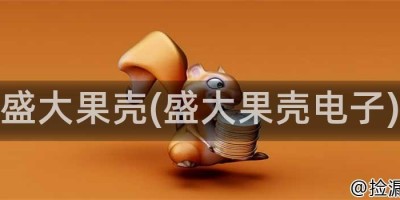 盛大果壳(盛大果壳电子)