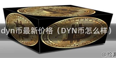 dyn币最新价格（DYN币怎么样）