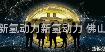 新氢动力新氢动力 佛山