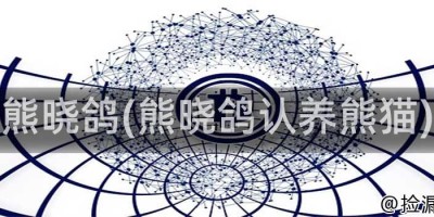 熊晓鸽(熊晓鸽认养熊猫)