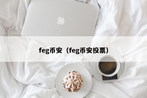 feg币安（feg币安投票）插图