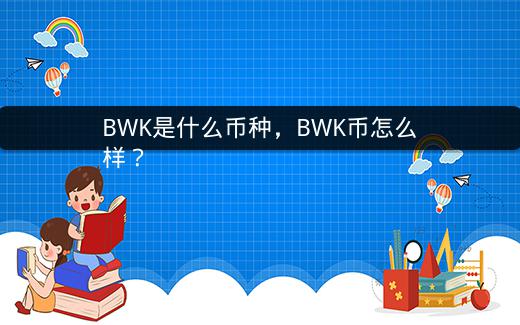 BWK是什么币种，BWK币怎么样？插图