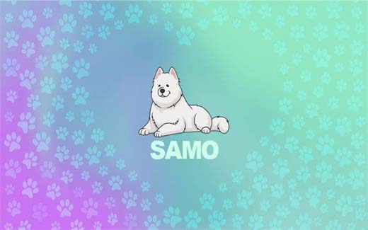 SAMO币未来前景怎么样？值得投资吗？插图