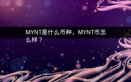 MYNT是什么币种，MYNT币怎么样？插图