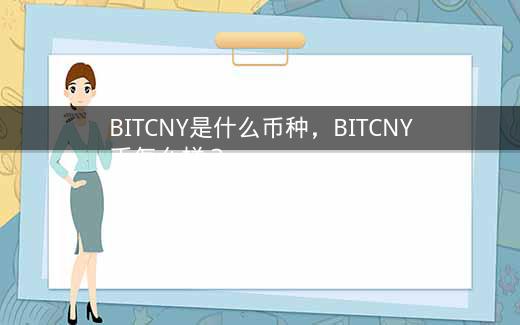 BITCNY是什么币种，BITCNY币怎么样？插图