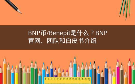 BNP币/Benepit是什么？BNP官网、团队和白皮书介绍插图
