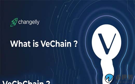 VET是什么币？VET币上线交易所和官网总量介绍插图