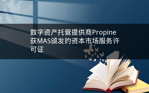 数字资产托管提供商Propine获MAS颁发的资本市场服务许可证插图