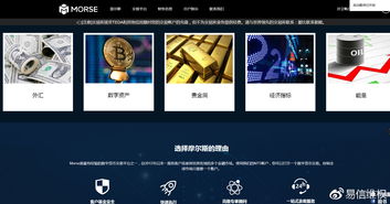 泰达币转账不到插图1