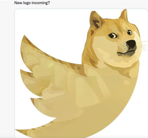 狗狗币换成泰达币插图